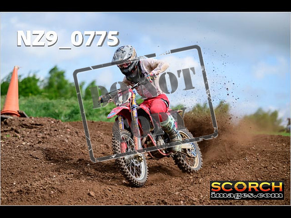 Experts-099