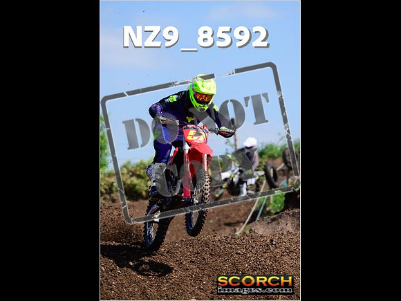 IntersGreenOrange-258