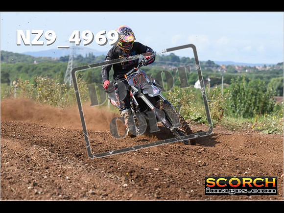 Experts-049