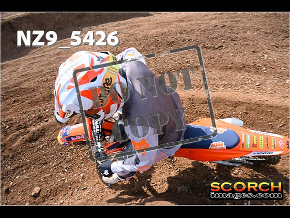InterGreenOrange-277