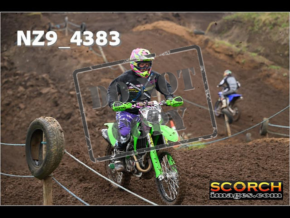 Experts-229
