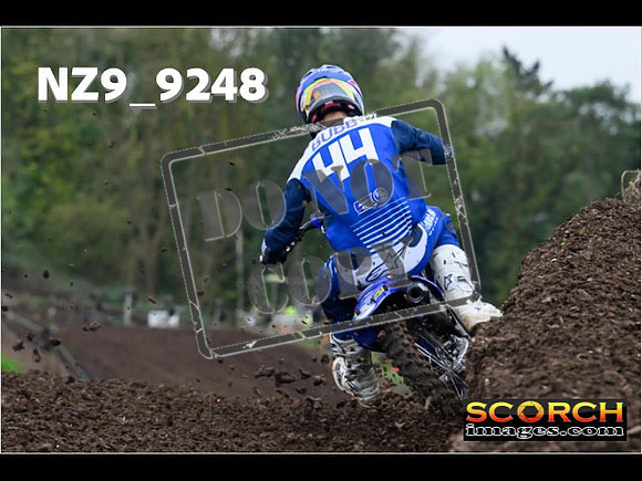 Experts-055