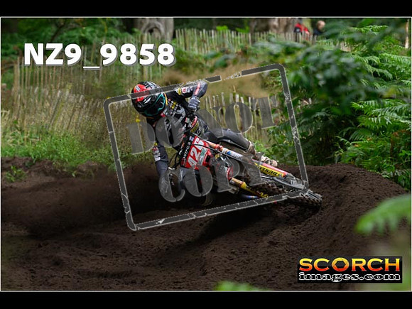 MX1-397