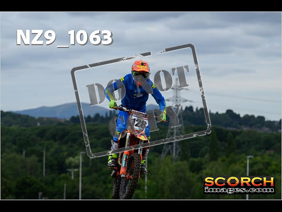 IntersGreen-078