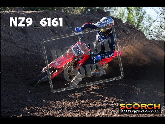 Experts-076