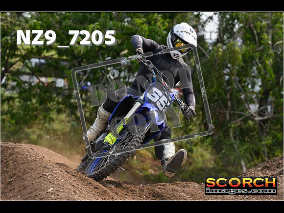 Inters Green-200