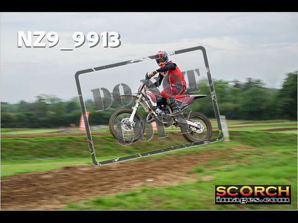 Experts-137
