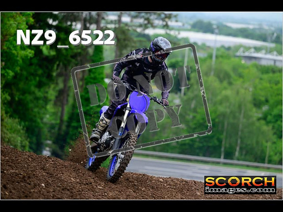 InterGreen-032