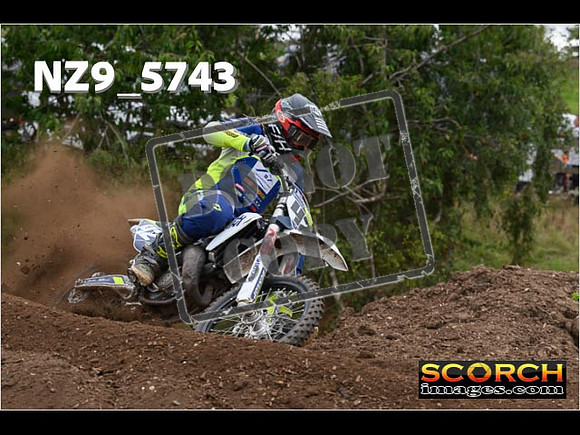 Experts-213