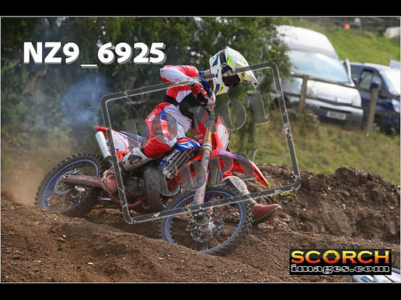 Experts-323