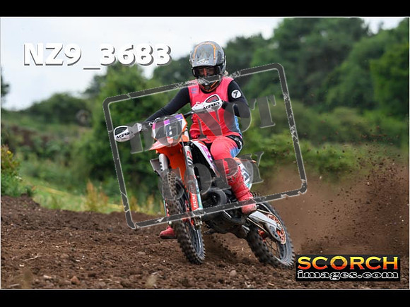 Experts-091