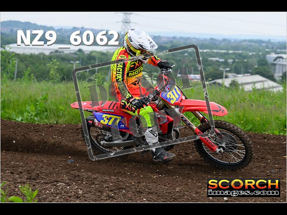 Experts-169
