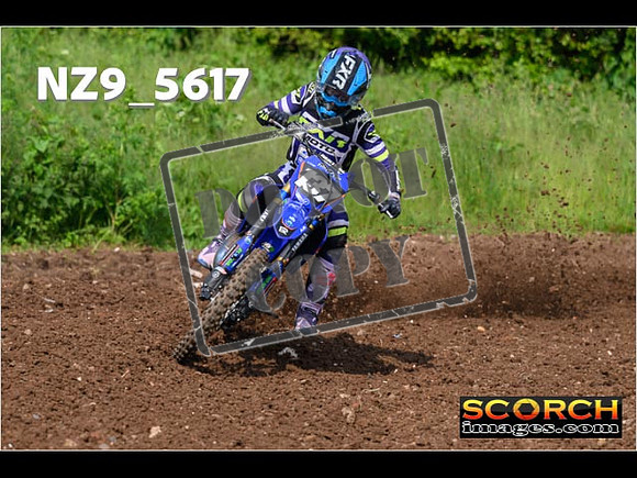Experts-049