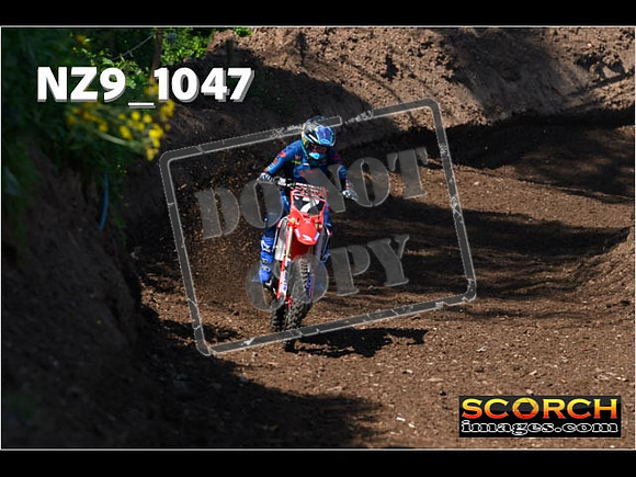 Experts-125