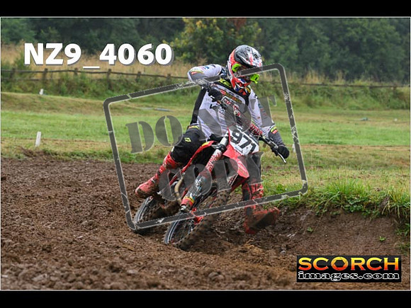 Experts-133