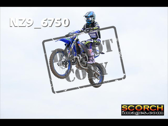 Experts-354