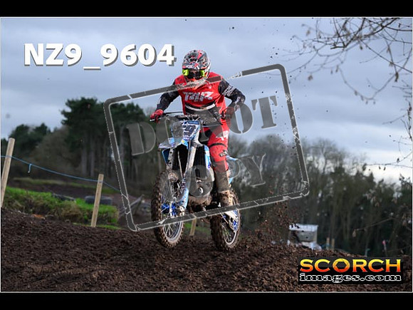 Intermediates-288