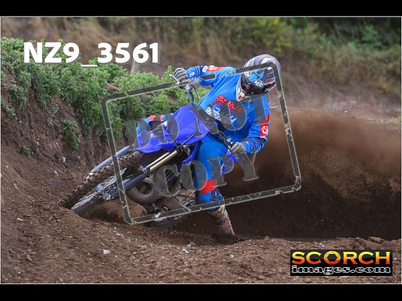 Experts-118