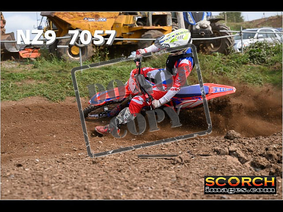 Experts-453