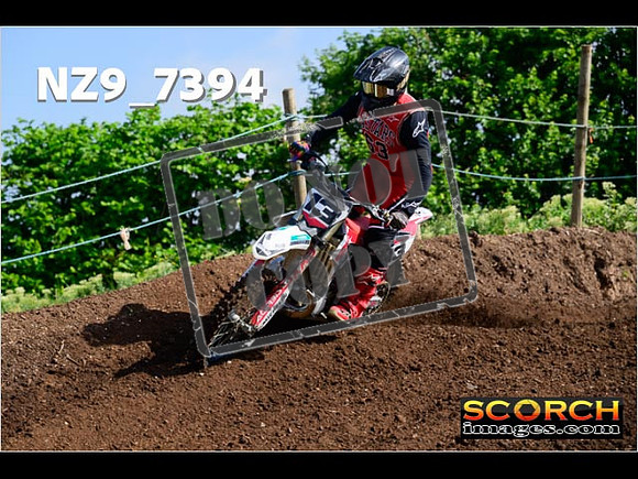 Experts-039