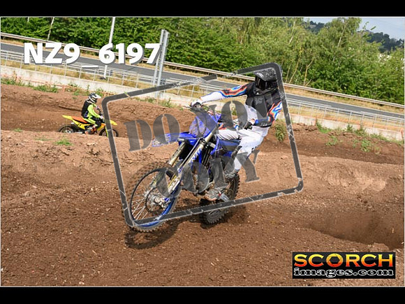 Experts-110