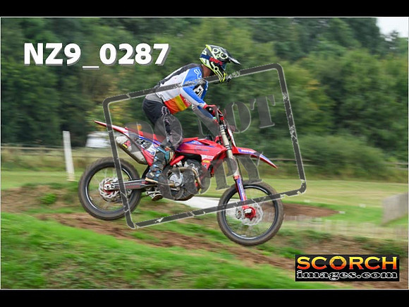 Novice-261
