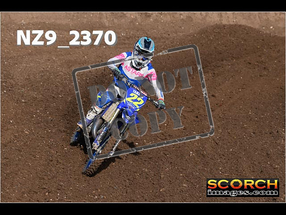 Experts-028