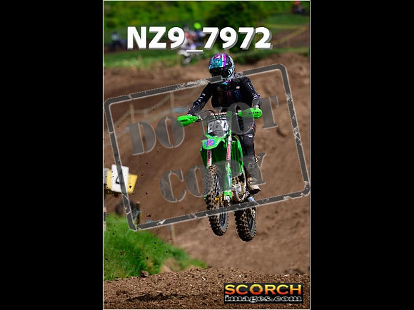 IntersGreenOrange-173