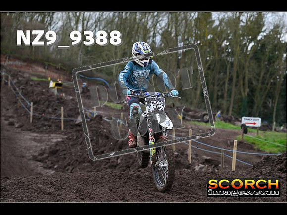 Intermediates-201