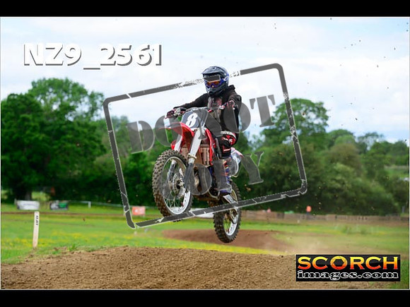 Experts-061