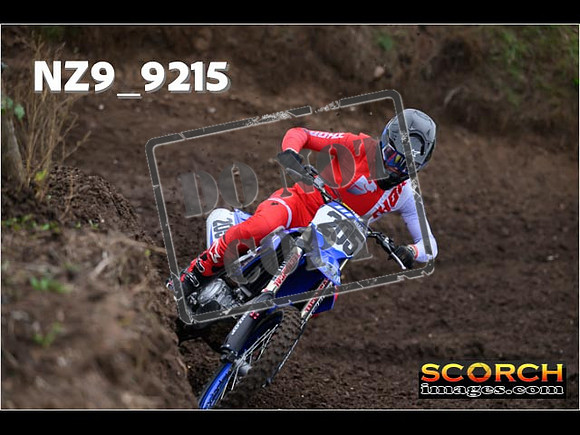 Experts-024