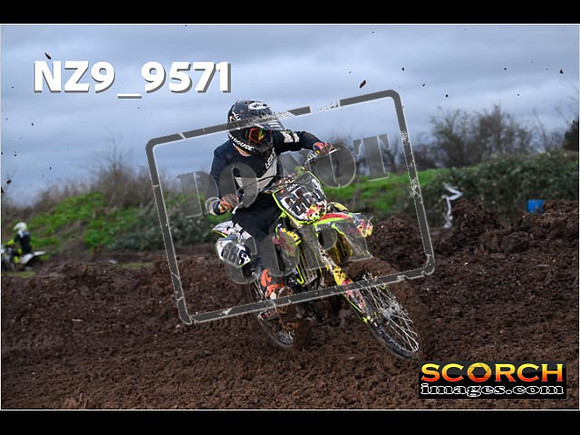 Intermediates-256