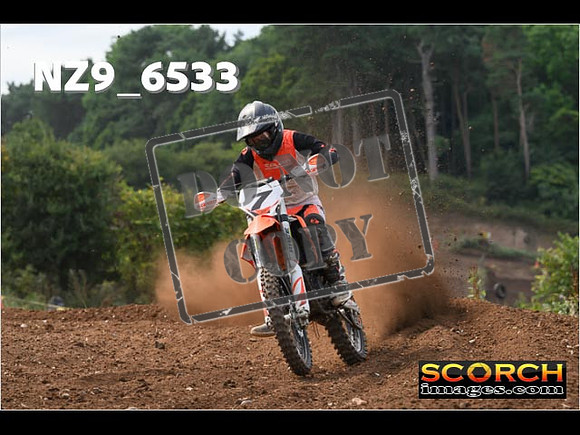 Experts-242