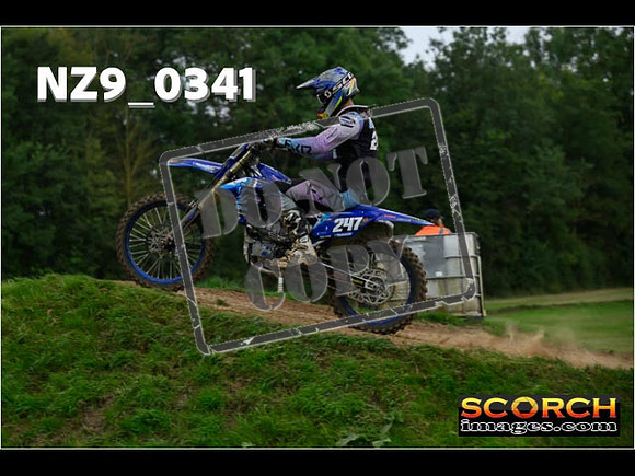 Novice-310