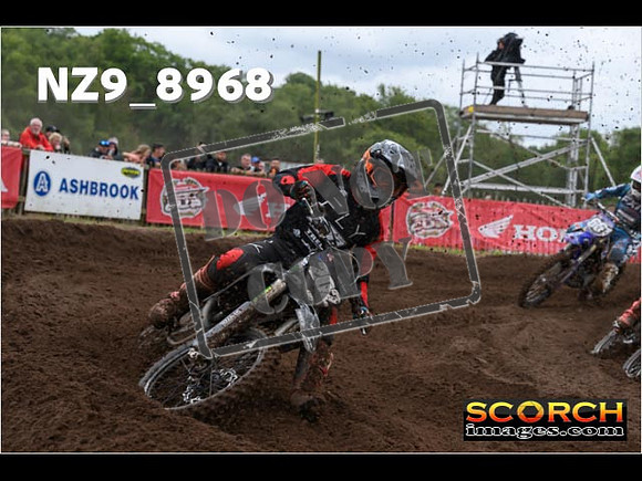 MX2-119