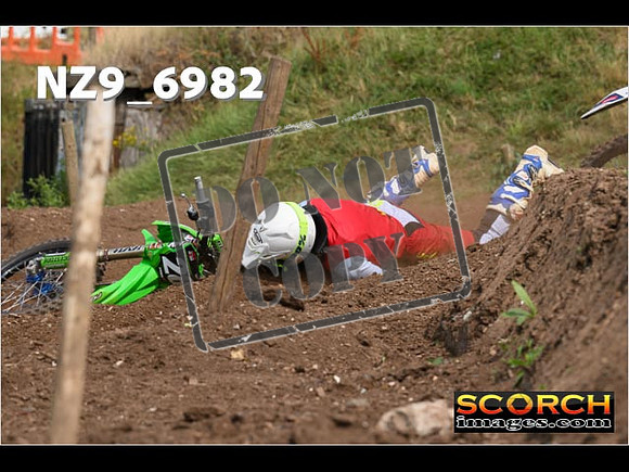 Experts-379