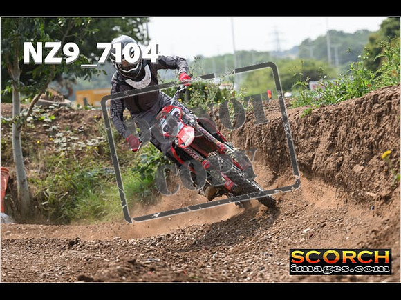 Experts-495