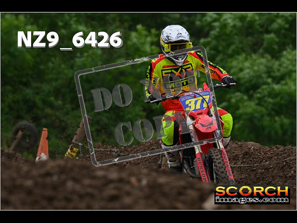 Experts-238