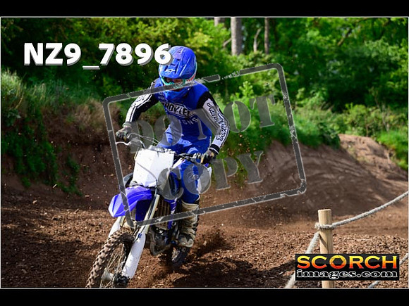 IntersGreenOrange-098