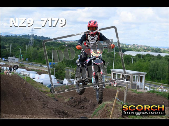 Experts-031