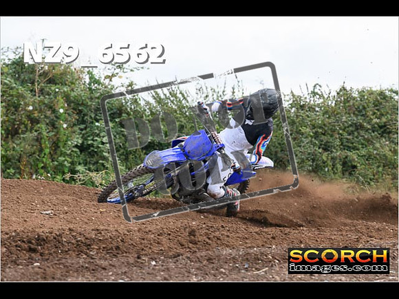 Experts-271