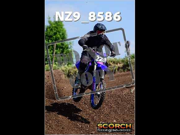IntersGreenOrange-252