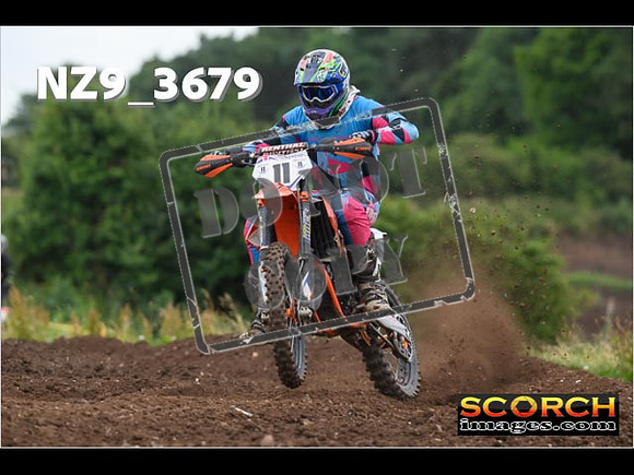 Experts-087