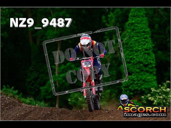 Experts-086