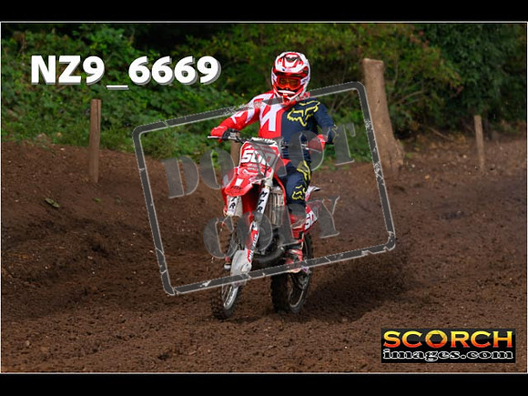 Red- Over 60-049