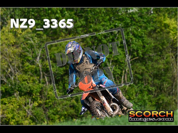 Experts-062