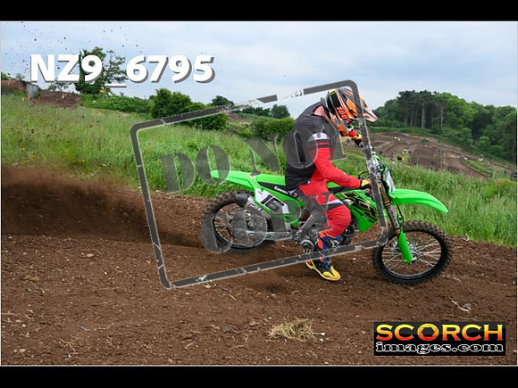 Experts-395
