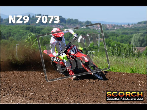 Experts-058