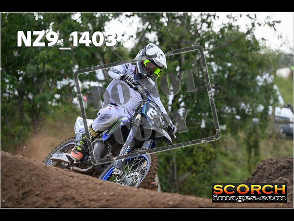 Experts-106