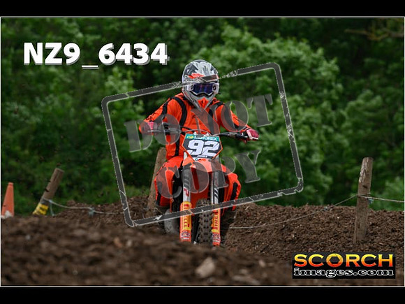 Experts-246